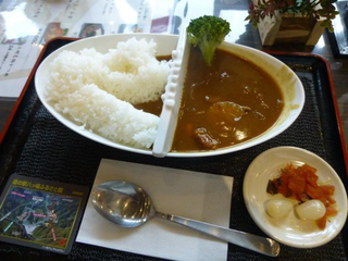Illustration for article titled Damn, That Curry Looks Delicious